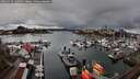 ./images/victoria/wharf/20260329/wharf20260329_160001M.jpg