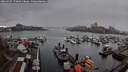 ./images/victoria/wharf/20260329/wharf20260329_172001M.jpg