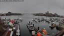 ./images/victoria/wharf/20260329/wharf20260329_172501M.jpg