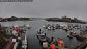 ./images/victoria/wharf/20260329/wharf20260329_173001M.jpg