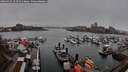 ./images/victoria/wharf/20260329/wharf20260329_173501M.jpg