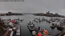 ./images/victoria/wharf/20260329/wharf20260329_174002M.jpg