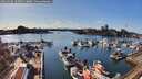 ./images/victoria/wharf/20260330/wharf20260330_163501M.jpg