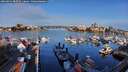 ./images/victoria/wharf/20260331/wharf20260331_082501M.jpg