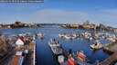 ./images/victoria/wharf/20260331/wharf20260331_092501M.jpg