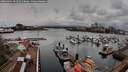 ./images/victoria/wharf/20260401/wharf20260401_094501M.jpg