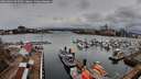 ./images/victoria/wharf/20260401/wharf20260401_095001M.jpg
