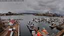 ./images/victoria/wharf/20260401/wharf20260401_100001M.jpg