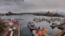 ./images/victoria/wharf/20260401/wharf20260401_131501M.jpg