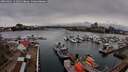 ./images/victoria/wharf/20260401/wharf20260401_141002M.jpg