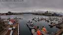./images/victoria/wharf/20260401/wharf20260401_141501M.jpg