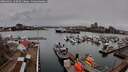./images/victoria/wharf/20260401/wharf20260401_150501M.jpg