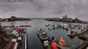./images/victoria/wharf/20260401/wharf20260401_170001M.jpg