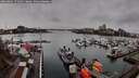 ./images/victoria/wharf/20260401/wharf20260401_171002M.jpg