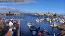 ./images/victoria/wharf/20260402/wharf20260402_091502M.jpg