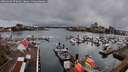 ./images/victoria/wharf/20260403/wharf20260403_072002M.jpg
