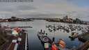 ./images/victoria/wharf/20260403/wharf20260403_082001M.jpg
