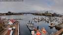 ./images/victoria/wharf/20260403/wharf20260403_110501M.jpg