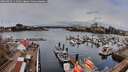./images/victoria/wharf/20260403/wharf20260403_111001M.jpg