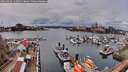 ./images/victoria/wharf/20260403/wharf20260403_132501M.jpg