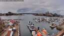 ./images/victoria/wharf/20260403/wharf20260403_133001M.jpg
