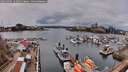 ./images/victoria/wharf/20260403/wharf20260403_133501M.jpg