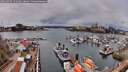 ./images/victoria/wharf/20260403/wharf20260403_134001M.jpg