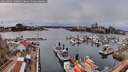 ./images/victoria/wharf/20260403/wharf20260403_140001M.jpg