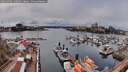 ./images/victoria/wharf/20260403/wharf20260403_140501M.jpg