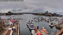 ./images/victoria/wharf/20260403/wharf20260403_142001M.jpg