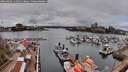 ./images/victoria/wharf/20260403/wharf20260403_142501M.jpg