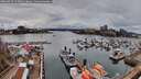 ./images/victoria/wharf/20260403/wharf20260403_143501M.jpg