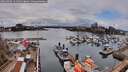 ./images/victoria/wharf/20260403/wharf20260403_144501M.jpg