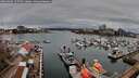 ./images/victoria/wharf/20260403/wharf20260403_155502M.jpg