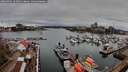 ./images/victoria/wharf/20260403/wharf20260403_161002M.jpg