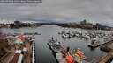 ./images/victoria/wharf/20260403/wharf20260403_161501M.jpg