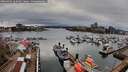 ./images/victoria/wharf/20260403/wharf20260403_162001M.jpg