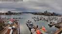 ./images/victoria/wharf/20260403/wharf20260403_162501M.jpg