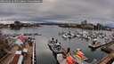 ./images/victoria/wharf/20260403/wharf20260403_163501M.jpg