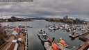 ./images/victoria/wharf/20260403/wharf20260403_164501M.jpg