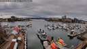 ./images/victoria/wharf/20260403/wharf20260403_165001M.jpg