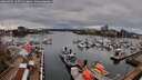 ./images/victoria/wharf/20260403/wharf20260403_165501M.jpg