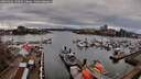 ./images/victoria/wharf/20260403/wharf20260403_170501M.jpg