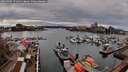 ./images/victoria/wharf/20260403/wharf20260403_171001M.jpg