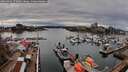 ./images/victoria/wharf/20260403/wharf20260403_172001M.jpg
