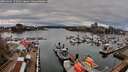 ./images/victoria/wharf/20260403/wharf20260403_172501M.jpg
