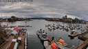 ./images/victoria/wharf/20260403/wharf20260403_173001M.jpg