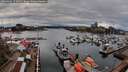 ./images/victoria/wharf/20260403/wharf20260403_173501M.jpg