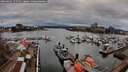 ./images/victoria/wharf/20260403/wharf20260403_175501M.jpg