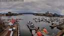 ./images/victoria/wharf/20260403/wharf20260403_180001M.jpg